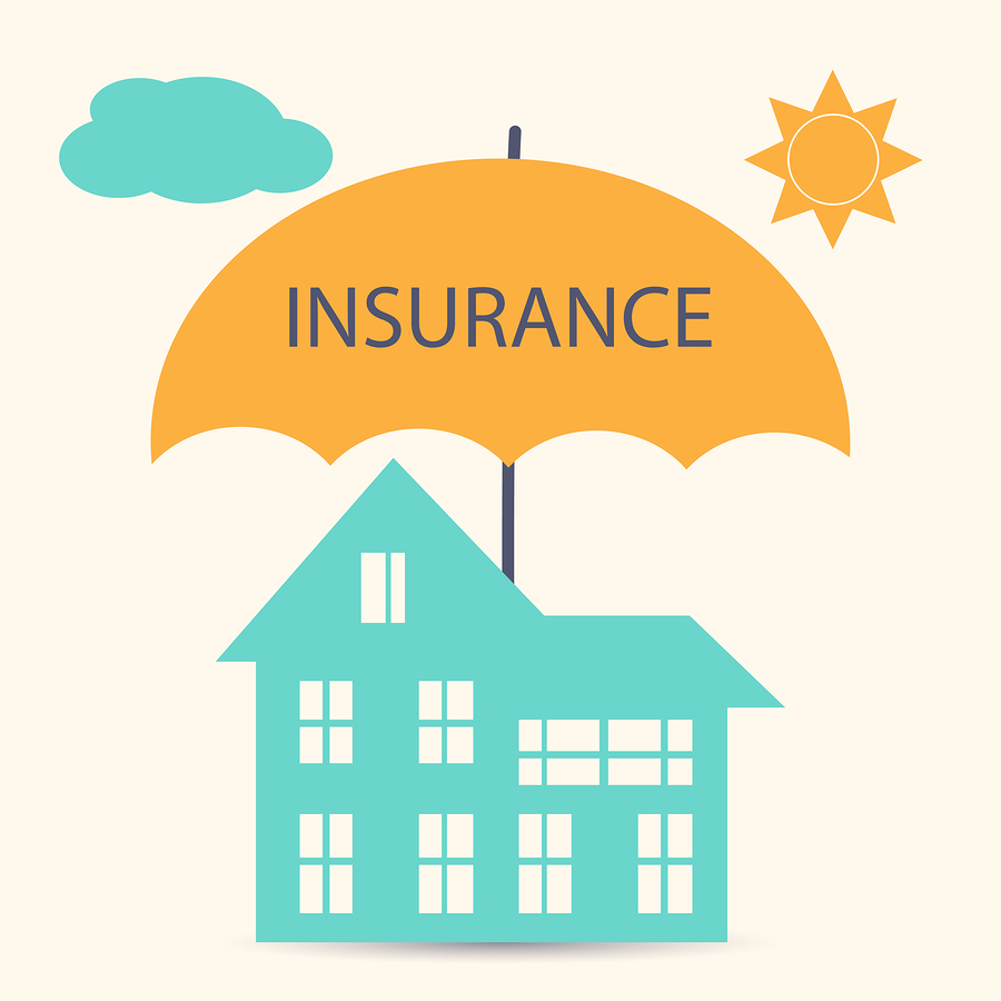 which home contents insurance