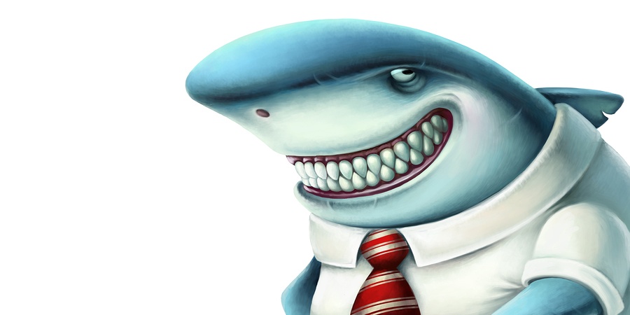 Illustration of business shark smiles slyly, cartoon