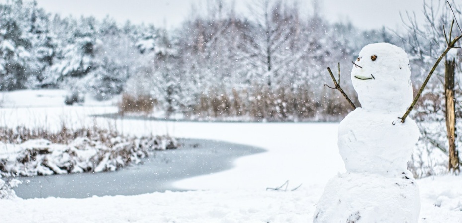Snowy scene with snowman